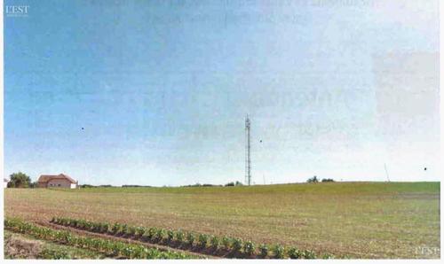 Notre position sur l’antenne de téléphonie mobile